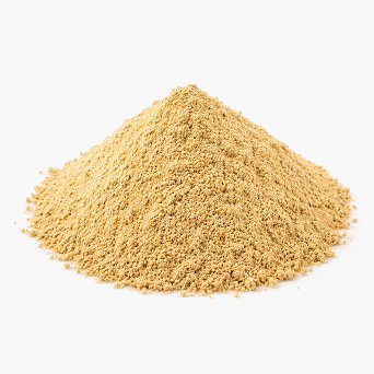 POUDRE DE GINGEMBRE